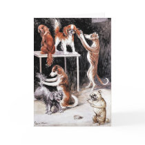 Card: Dogs Grooming Dogs