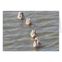 Card - Ducks In a Row
