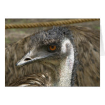 Card Emu 2 Australia