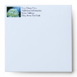 Card Envelops Blue Hydrangea Flowers Custom Floral Envelope
