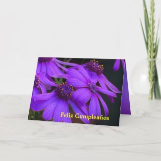 Card - Feliz Cumpleaños - Margaritas púrpuras