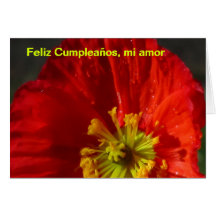 Card - Feliz Cumpleaños, mi amor