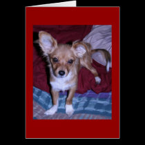 Card, Fuzzy Chihuahua #1, "I Love You" cards