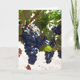 Card - Greeting - Grapes on vine