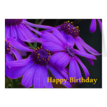 Card - Happy Birthday