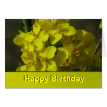 Card - Happy Birthday