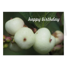 Card - Happy Birthday