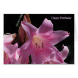 Card: Happy Birthday