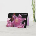 Card: Happy Birthday - Pink Lily