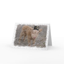 Card - Happy Moo Year!