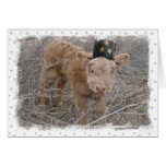 Card - Happy Moo Year!