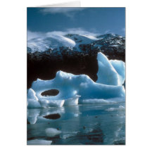 Card / Ice Berg