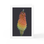 Card, "Kniphofia" # 219