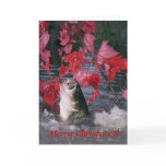 christmas, holiday, fish, fishing, recreation