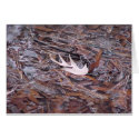 Card "Leaf Dry" by smilodonart Card "Leaf Dry"