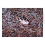 Card "Leaf Dry"
