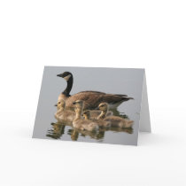 Card / Lesser Canada Goose Brood by moxieann Card / Lesser Canada Goose Brood