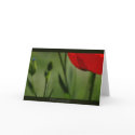 Card - Living in two worlds by montyscorner Card - Living in two worlds