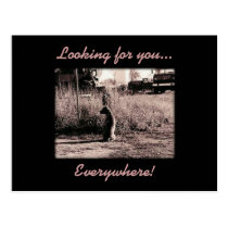 Card - Looking for you postcards