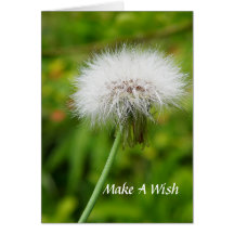 Card Make A Wish