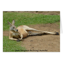 Card Male Kangaroo Reclining! Australia