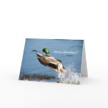 Card / Mallard Duck