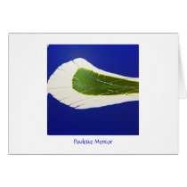 Card Mentor Criss-Cross