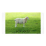 Card Miss You.... Customized Photo Card