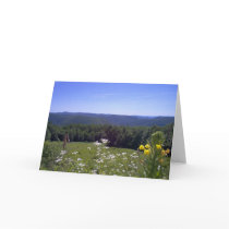 Card - Mohawk Trail by unclechuckstoys Card - Mohawk Trail