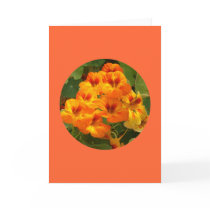 Card, "Nasturtiums in Circle" D-1