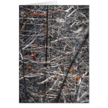 Card - Natural Abstract