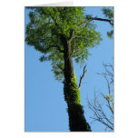 Card of Encouragement- Looking Up