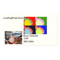 card of steve business cards