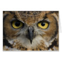 Card - Owls Eyes card