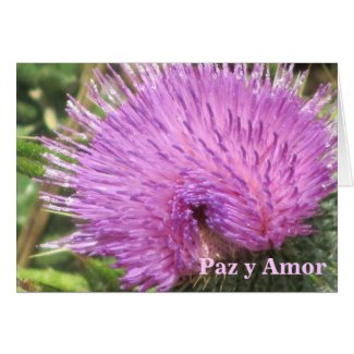 Card: Paz y Amor - Purple Wildflower
