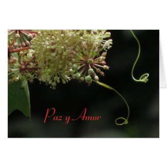 Card: Paz y Amor - White and Light Green Flower