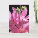 Card - Pink Flowers - Multipurpose