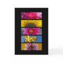 Card - Pink & Yellow Macro Flowers card