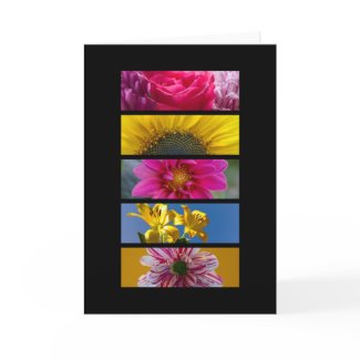 Card - Pink & Yellow Macro Flowers