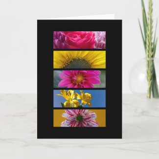 Card - Pink & Yellow Macro Flowers zazzle_card