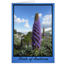 Card - Pride of Madeira
