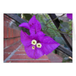 Card - Purple Flower