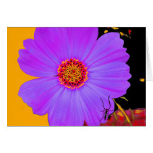 Card Purple Flower