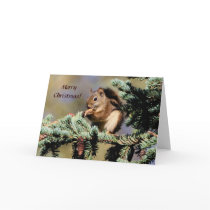 Card / Red Squirrel / Christmas by moxieann Card / Red Squirrel / Christmas