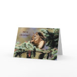 Card /  Red Squirrel / Christmas