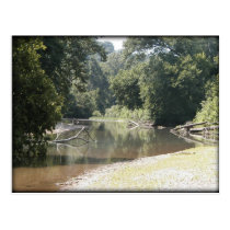 Card - River postcards