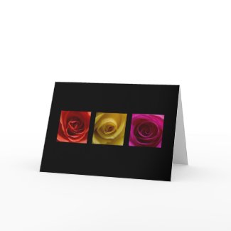 Card - Roses pink yellow orange