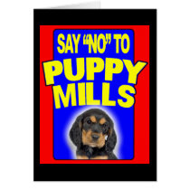 Card: Say No to Puppy Mills