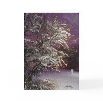 Cartão - inverno nevado cartões