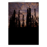 Card / Sunset on the Innoko National Wildlife Refu